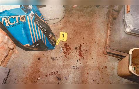 maggie murdaugh autopsy pictures|Alex Murdaugh trial shown crime scene photos of。